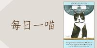 【每日一喵】猫咪大师：美国前总统柯林顿家族的宠物猫「袜子．柯林顿」(Socks Clinton)