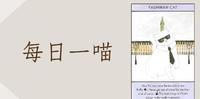 【每日一喵】猫咪大师 : 曾两度登上Vogue杂志封面的猫 (Fashwan Cat)