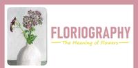 【每日花语】西洋蓍草(Achillea):疗癒-《Floriography》