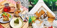 桃园芦竹|藏匿在郊区的网美露营咖啡厅