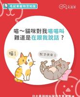 【猫语翻译猫主子的六种叫声原来是想表达这些】