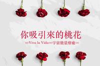?心灵占卜?你吸引来的桃花是什麽?Timeless?