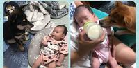毛小孩和小孩