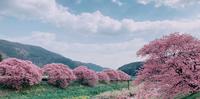 【用爱情陪伴疫情】(十) 分手