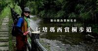 亲山观鱼赏桐花香｜七堵玛西赏桐步道、日德矿坑步道、翠谷桥