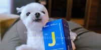 【Oh!Pet】犬猫关节专科UC2  大开箱 !