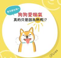 狗狗爱喘气 真的只是因为热吗!