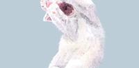 《插画》过年後,大家都变成见光死的猫猫