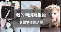我的宠物离开後却留下这个｜与刺蝟相遇四年 最终化成香水【回忆录】
