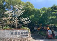 *亲子*奥尔森林学堂-桃园