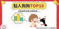 【黏人狗狗排行?最黏人的狗竟然是...？！你家宝贝有上榜吗？?】
