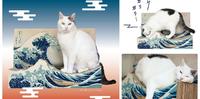【宠物】猫奴必买!最适合猫皇的日本浮世绘!日本知名「FELISSIMO猫部」2021 推出「葛饰北斎神奈川冲浪里」猫抓板