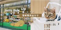 高雄必逛毛孩选物店 Sunny Side Up 太阳蛋 高质感战利品分享 猫蛋塔 猫抓板