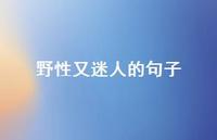野性又迷人的句子70句汇总 野性又迷人的句子70句汇总
