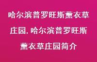 哈尔滨普罗旺斯薰衣草庄园简介(100句) 哈尔滨普罗旺斯薰衣草庄园简介(100句)