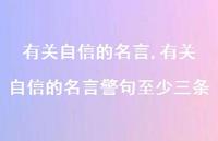 有关自信的名言警句至少三条【100句文案精选】