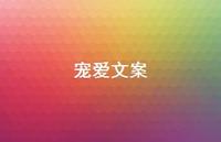 宠爱文案【100句精选短句合集】