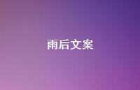雨后文案【100句精选短句合集】