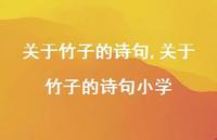 关于竹子的诗句小学【精品文案100句】