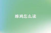 雎鸠怎么读58句汇总 雎鸠怎么读58句汇总