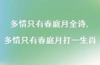 多情只有春庭月打一生肖【精品文案100句】 多情只有春庭月打一生肖【精品文案100句】