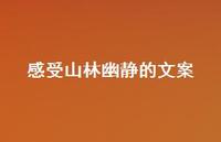 感受山林幽静的文案【100句精选短句合集】