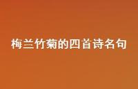 梅兰竹菊的四首诗名句(精选49句)