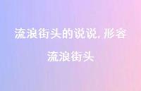 形容流浪街头(100句) 形容流浪街头(100句)