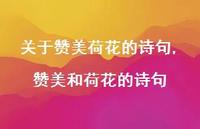 赞美和荷花的诗句【精品文案100句】