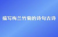 描写梅兰竹菊的诗句古诗(精选56句)