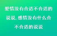 感情没有什么合不合适的说说【100句文案】