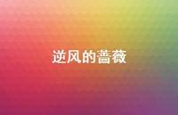 逆风的蔷薇75句汇总 逆风的蔷薇75句汇总