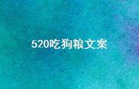 520吃狗粮文案【100句精选短句合集】 520吃狗粮文案【100句精选短句合集】