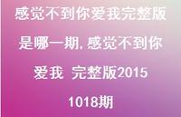 感觉不到你爱我 完整版20151018期(100句) 感觉不到你爱我 完整版20151018期(100句)
