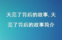天亮了背后的故事简介【100句文案】