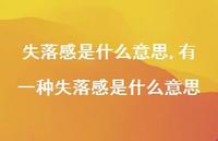 有一种失落感是什么意思(100句) 有一种失落感是什么意思(100句)
