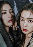02082522-739b-42e8-9a76-08ee440f0591_1.jpg-s RedVelvet-IRENE&SeulGi,SM的第三个女团小分队,特别在哪里呢?