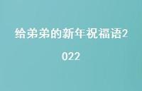 给弟弟的新年祝福语2022合集54句精选 给弟弟的新年祝福语2022合集54句精选