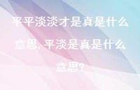 平淡是真是什么意思?(100句)