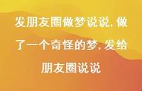 做了一个奇怪的梦,发给朋友圈说说(100句) 做了一个奇怪的梦,发给朋友圈说说(100句)