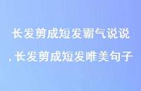 长发剪成短发唯美句子(100句)