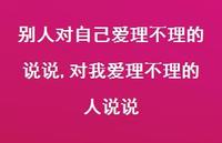 对我爱理不理的人说说(100句)