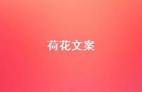 荷花文案【100句精选短句合集】 荷花文案【100句精选短句合集】