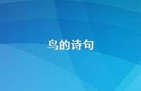 鸟的诗句39句汇总 鸟的诗句39句汇总
