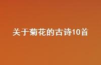 关于菊花的古诗10首(精选58句) 关于菊花的古诗10首(精选58句)