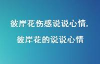 彼岸花的说说心情(100句) 彼岸花的说说心情(100句)