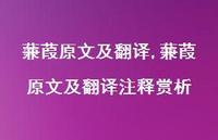 蒹葭原文及翻译注释赏析【100句文案精选】