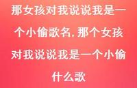 那个女孩对我说说我是一个小偷什么歌【100句文案】