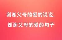 谢谢父母的爱的句子【100句文案】 谢谢父母的爱的句子【100句文案】