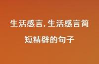 生活感言简短精辟的句子【精品文案100句】